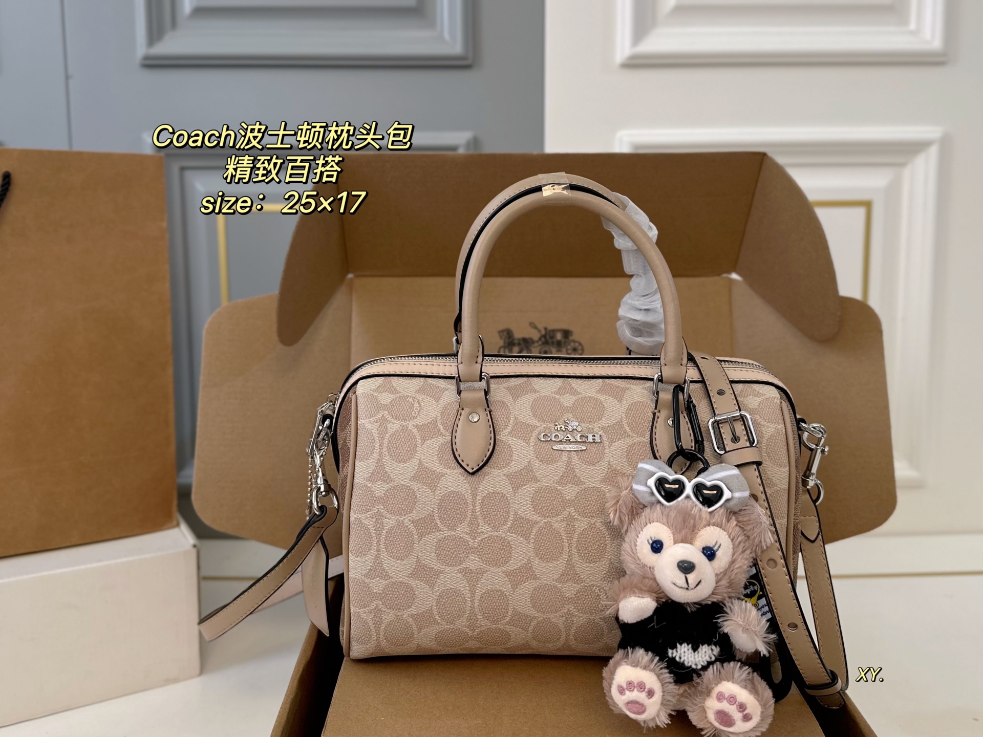 coach bag 210
